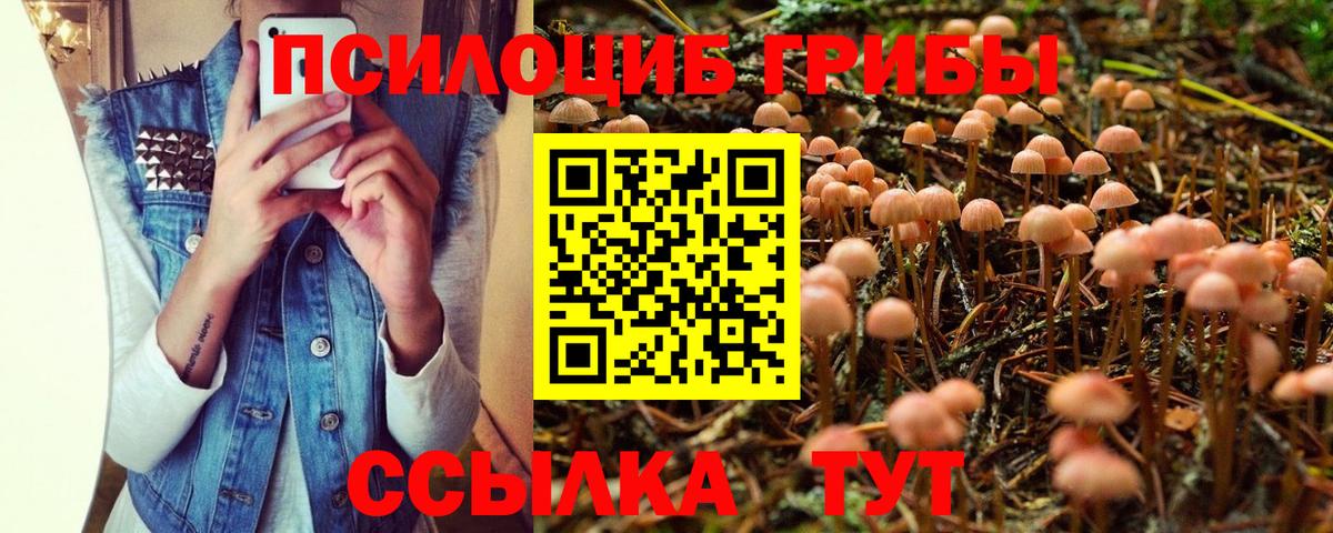 Галлюциногенные грибы Psilocybine cubensis  Псилоцибиновые грибы Cubensis  Альметьевск  Вход с VPN 